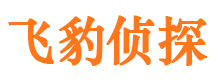 陇南侦探公司